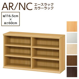 大洋 カラーラック 幅120cm 高さ60cm 日本製 オープンラック 本棚 書棚 木製 収納 カラーボックス シェルフィット AR6012 NC6012 ARNC6012
