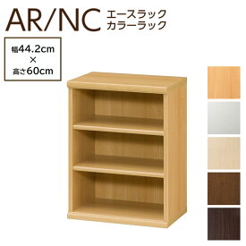 大洋 カラーラック 幅45cm 高さ60cm 日本製 オープンラック 本棚 書棚 木製 収納 カラーボックス シェルフィット AR6045 NC6045 ARNC6045