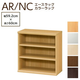 大洋 カラーラック 幅60cm 高さ60cm 日本製 オープンラック 本棚 書棚 木製 収納 カラーボックス シェルフィット AR6060 NC6060 ARNC6060