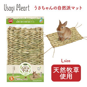 鳥 小動物用ペットグッズ うさぎ マットの人気商品 通販 価格比較 価格 Com