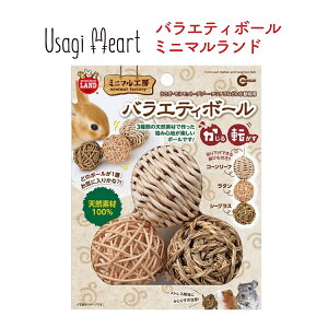 うさぎ おもちゃ ボール その他鳥 小動物用ペットグッズの人気商品 通販 価格比較 価格 Com