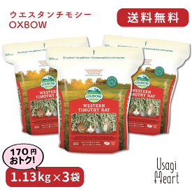楽天市場 ロップイヤー チモシーの通販