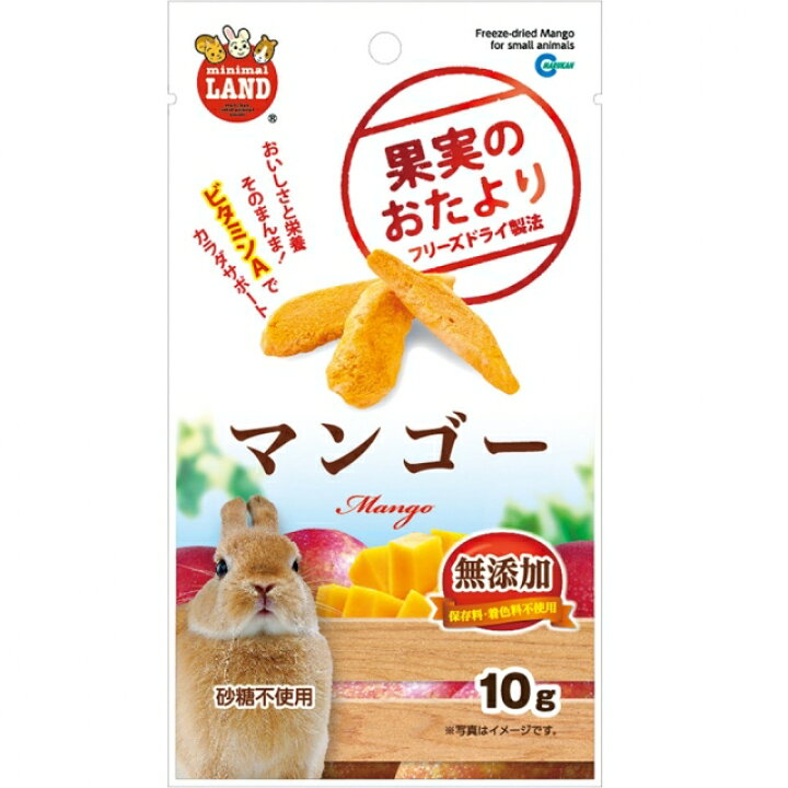 冬バーゲン ウサギのスリッカーブラシ ドギーマンハヤシ お手入れ ケアうさぎ ミニウサギ ネザーランドドワーフ ホーランドロップ ロップイヤー うさぎ全般 うさぎ用品 ウサギ Qdtek Vn