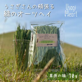 楽天市場 エサ 成長段階 うさぎ 成長期 種類 小動物 ウサギ 小動物用品 ペット ペットグッズ の通販