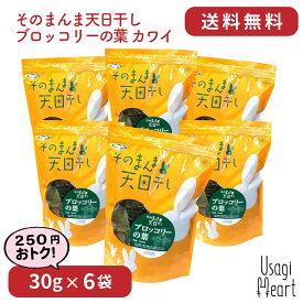 楽天市場 うさぎ ブロッコリーの葉の通販