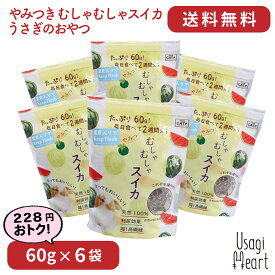 楽天市場 スイカ 小動物用品 ペット ペットグッズ の通販