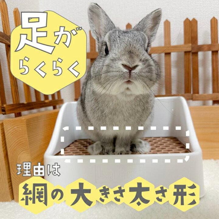 楽天市場】【4月17日9:59まで♪全品ﾎﾟｲﾝﾄ2倍】Usagi Heart うさぎ 
