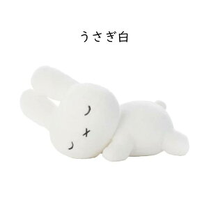 ~btB[ ₷th ʂ LTCY _[ ~btB[ {X u[i ^Jg~[A[c  v[g  ~btB[ IW O[ uE O[  ~b