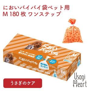 y69:59܂!tbVN[|ő2000~ItzɂoCoC܃ybgp M 180 Xebv gC |  lU[hh[t z[hbv bvC[ pi L