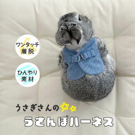 うさぎさんのうさんぽハーネス 選べる2サイズ M L Usagi Heart コーデュロイ ブルー ピンク グリーン デ…