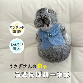 【6月10日まで♪全品ポイント2倍】うさぎさんのうさんぽハーネス 選べる2サイズ M L Usagi Heart コーデュロイ ブルー ピンク グリーン デニム ライトブルーデニム うさぎ 兎 ミニペット ネザーランドドワーフ ホーランドロップ ミニレッキス ミニウサギ うさんぽ 軽量