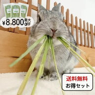 オーツヘイ うさぎさんの頬張る緑のオーツヘイ ストレート 70g 乾燥牧草 うっ滞予防 国産 無農薬 無添加 …