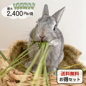 【9月23日まで♪全品ポイント2倍】オーツヘイ うさぎさんの頬張る緑のオーツヘイ ストレート 70g 1袋 6袋 12袋 セット販売 乾燥牧草 うっ滞予防 国産 無農薬 無添加 うさぎ 牧草 うさぎのおやつ Usagi Heart うさぎ用 ウサギ 高齢うさぎ 食物繊維 牧草