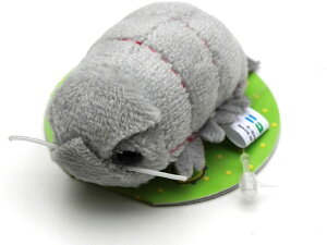 j} ʂ }Olbg _CIEO\NV eB[GXeB[AhoX TST ADVANCE Ñ㐶   _SV 킢 V[Y ʂ l`  킢