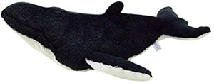 ĈƂV[Y mar UgENW ʂ eB[GXeB[AhoX TST ADVANCE   C̐ C  [C