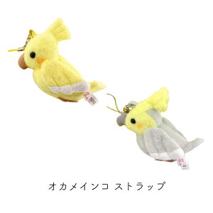 IJCR Xgbv CG[ O[ eB[GXeB[AhoX TST ADVANCE ʂ CR l`  L[z_[ v[g