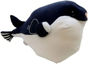 y1126܂ŁGg[&2wŃ|Cg5{!3wŃ|Cg10{zgtO ʂ 26cm eB[GXeB[AhoX TST ADVANCE ʂ l` }XRbg \tggC v[