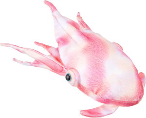 ���񂩂����� �R�[�����_�R �ʂ������ �e�B�[�G�X�e�B�[�A�h�o���X TST ADVANCE �l�` �[�C���� �L�����N�^�[ ���� �^�R �O�b�Y ������� ��^ �v���[���g �M�t�g �C���e���A �\�t�g�g�C