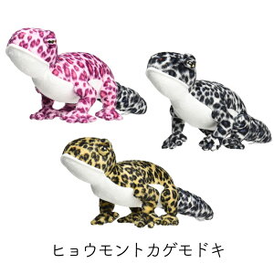 qEgJQhL ʂ sN ubN uE eB[GXeB[AhoX TST ADVANCE ʂ l`  v[g Mtg ঒ ʂ