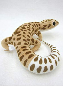 y1126܂ŁGg[&2wŃ|Cg5{!3wŃ|Cg10{zqEgJQhL A 23cm ʂ TSTAhoX Ip[hQbR[ Ñ㐶 V[Y v[g 