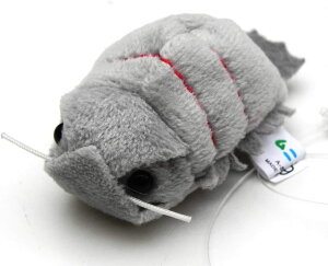 ʂ  _CIEO\NV ʂ TSTAhoX Ñ㐶 V[Y }XRbg NbV fUC v[g Mtg Aj} 킢 CeA