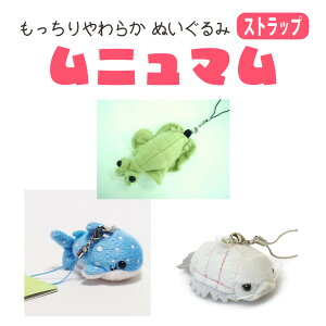 j} ST _CIEO\NV WxGT Am}JX 킢 \tg }XRbg l` v[g Mtg a q  i:8049 ʂ eB[GXeB[Aho