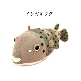 イシガキフグ ぬいぐるみ 25cm ティーエスティーアドバンス TST ADVANCE ぬいぐるみ 大きい 魚 人形 プレゼント インテリア