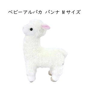 �x�r�[�A���p�J �p���i �ʂ������ �z���C�g M�T�C�Y ����24cm TST ADVANCE �A���p�J �l�` ���� ���� �x�r�[ �v���[���g �A�j�}��