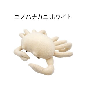 ���񂩂����� ���m�n�i�K�j �ʂ������ �z���C�g TST ADVANCE ������ �� �C�̐����� �C �� �[�C �O�b�Y �v���[���g �M�t�g