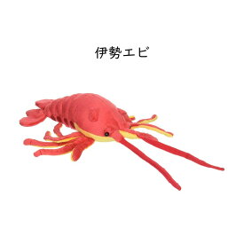 海のともだちシリーズ ぬいぐるみ mar エイ 伊勢エビ ザトウクジラ エイ マダイ ヒラメ シロナガスクジラ チョウチンアンコウ ティーエスティーアドバンス TST ADVANCE 人形 プレゼント