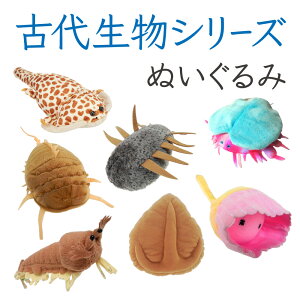 �Ñ㐶���V���[�Y �n�x���A �ʂ������ �e�B�[�G�X�e�B�[�A�h�o���X TSTADVANCE �Ñ㐶�� �l�` �������� �q�ǂ� ��l �v���[���g �M�t�g �O�b�Y �C���e���A �R���N�V���� �f�R���[�V���� ����