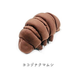 �N�}���V ���A�� �ŋ����� �h�D�_���W�������}�N�}���V ���R�d�i�N�}���V �ʂ������ �e�B�[�G�X�e�B�[�A�h�o���X TST ADVANCE �l�` ���킢�� �v���[���g �M�t�g ���j�[�N ��������