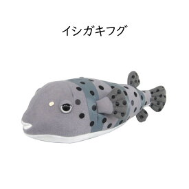 イシガキフグ ぬいぐるみ 25cm ティーエスティーアドバンス TST ADVANCE ぬいぐるみ 大きい 魚 人形 プレゼント インテリア