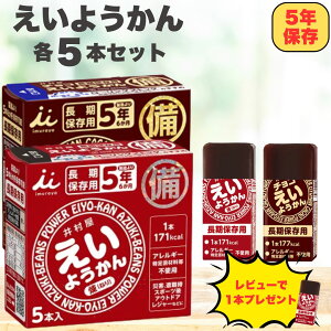 【最安値挑戦中!】えいようかん チョコえいようかん 各5本 計10本セット 井村屋 5年保存 非常食 防災食 防災 栄養かん eiyoukann お菓子 備蓄災害食 ようかん 備蓄食 保存食