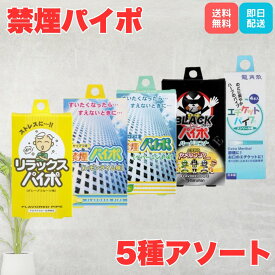 禁煙パイポ 5種セット マルマン リラックスパイポ 禁煙 グッズ プレゼント レモンライム味 グレープフルーツ味 ペパーミント味 ブラックパイポ メンソール味 禁煙グッズ 爽快 すっきり パイポ アソート 使い切りタイプ