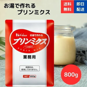 y{I|Cg10{zv~NX 800g nEXHi v Ղ v̑f f fU[g  XC[c ȒP ƃfU[g Ɩp v~NX v~bNX 