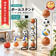 【マラソン期間(9/19 20時～)ポイント2倍】＼楽天ランキング1位／【理学療法士監修】ボールスタンド 玄関…