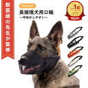 【マラソン期間(8/4 20時～)ポイント2倍】＼楽天ランキング1位／【獣医師監修】犬 口輪 犬 マズル 口輪 犬用口和 長頭…