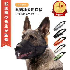 y}\(11/20 20`)|Cg2{z_yVLO1ʁ^ybtďCz   }Y  pa 팢   ̌ ʖi ݂ EHh~ }XN 