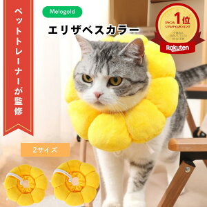 _Vi[XԌ100~offN[|zz^ _yVLO1ʁ^ yybgg[i[ďCzGUxXJ[ L  ybg \tg NbV ی p PK  F y lC 