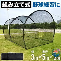 楽天市場】鳥かご ケージ 大型（バッティングゲージ｜打撃練習用品 