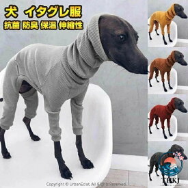 【全品2点で5%OFF】ペット服 犬服 イタグレ服 ロンパース 冬 犬 服 軽い 温かい 保温 イタリアングレーハウンド 動きやすい 犬服 ミニピン ミニチュアピン