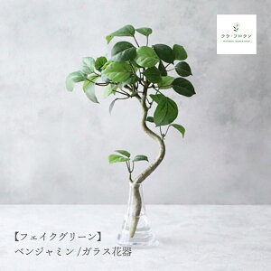 tFCNO[ xW~ KXԊ CeAO[ ϗtA   rO k i` _ } ڂȂ }WJEH[^[ CeA   KX