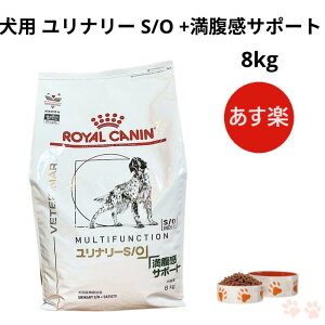 満腹感サポート 8」の人気商品一覧 | 安い商品を通販サイトから探す 