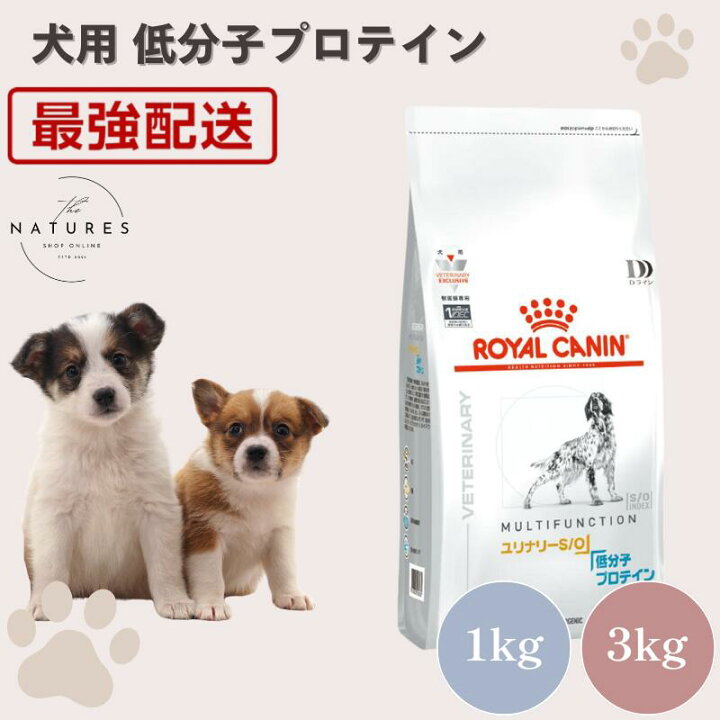 楽天市場】【病院認証不要 在庫限り】ロイヤルカナン 犬 ユリナリー S 