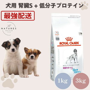 【病院認証不要 在庫限り】ロイヤルカナン 犬 腎臓サポート +低分子プロテイン ドライ 1kg 3kg