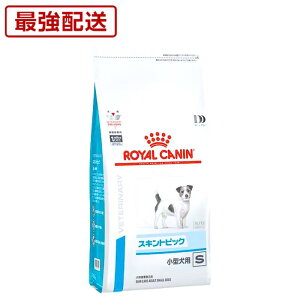 ya@Fؕsv ݌Ɍz CJi p XLgsbN ^p