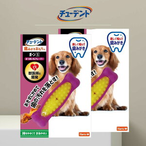 `[fg ݂ {[ S ^ ܂t[o[ ×2 n[c (Hartz) p pߋ  f