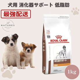 【病院認証不要 在庫限り】ロイヤルカナン 犬 消化器サポート 低脂肪 1kg