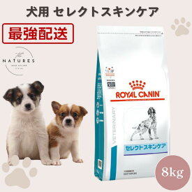 【病院認証不要 在庫限り】 ロイヤルカナン 犬 セレクトスキンケア 8kg